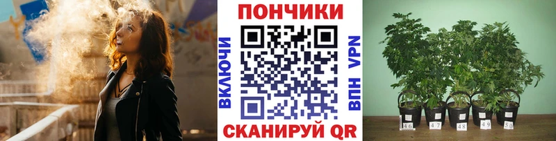 Наркошоп купить СК  Кокаин  Меф  Марихуана  ГАШ  Луза