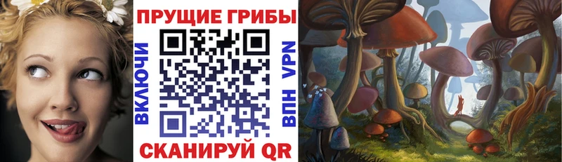Купить закладки  Луза  Галлюциногенные грибы GOLDEN TEACHER 
